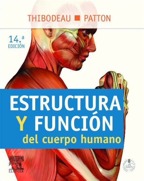 Estructura Y Función Del Cuerpo Humano 14va Edición Gary Thibodeau