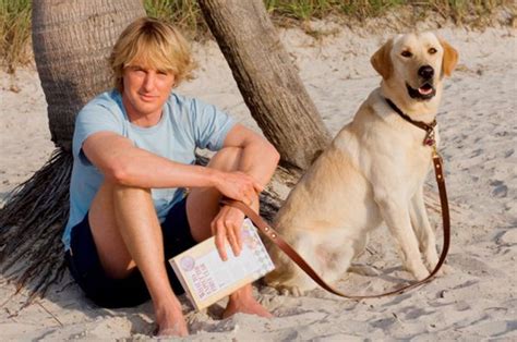 Read common sense media's marley & me review, age rating, and parents guide. Marley & Me exclusive | Marley, me, Owen wilson, Wilson movie