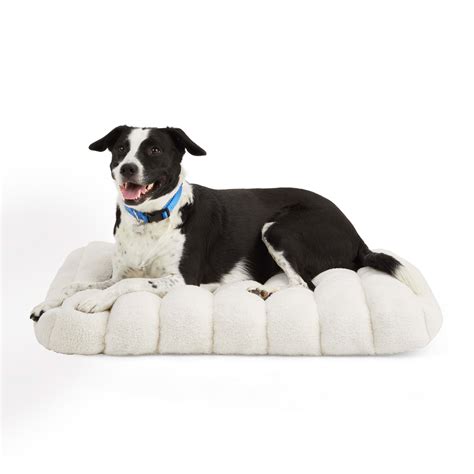 Everyyay Snooze Fest Cream Bed For Dogs 24 L X 32 W Petco