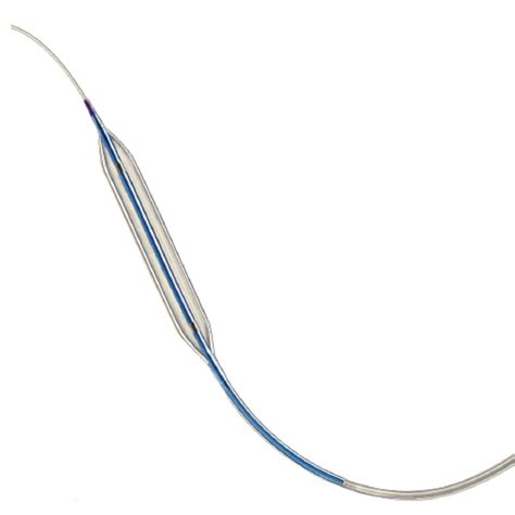 Straight Single Silicone Nc Quantum Apex Ptca Dilatation Catheter At Rs
