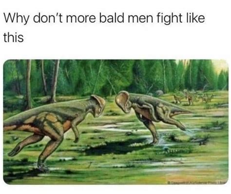 Why Dont More Bald Men Fight Like This Blank Template Imgflip