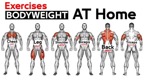 Full Body Home Bodyweight Workout Squats Chest Triceps Biceps