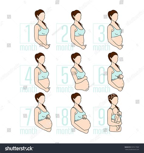 For faster navigation, this iframe is preloading the wikiwand page for עומר ינקלביץ'. Woman Body Changes Pregnancy : Pregnant Woman First Second ...