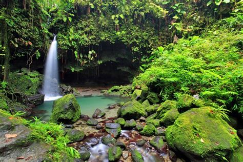 10 top rated tourist attractions in dominica planetware caribbean destinations caribbean