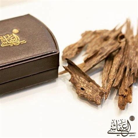 #علي_كاكولي #كاكولي #شخشيخة #الشيخ_طارق #علي_ونجم #علي_نجم. عطورات العفاسي Al Afasy Perfumes