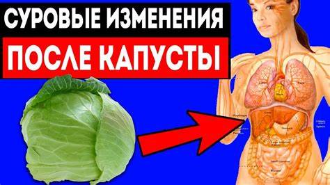 Есть капусту и похудеть