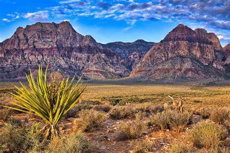 Top Most Beautiful Places To Visit In Nevada Globalgrasshopper My Xxx