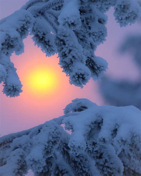 Sunrise In Finnish Lapland Photo By Virpula Lapland Finland