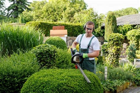 Tips For Choosing The Right Landscape Gardener Homedecoreslg