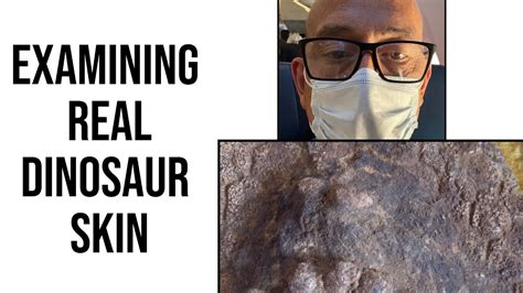 Examining Real Dinosaur Skin Lost World Museum