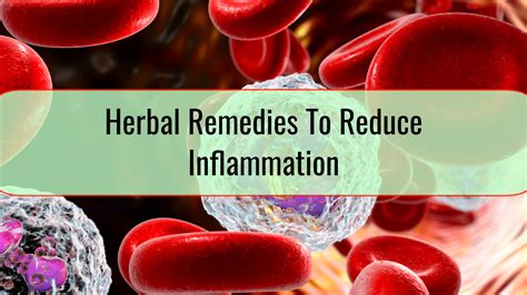 Herbal Remedies To Reduce Inflammation • Health Blog