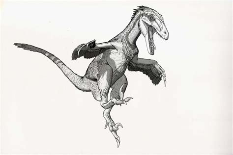 Draw Dinovember Day 16 Deinonychus By Daitengu On Deviantart