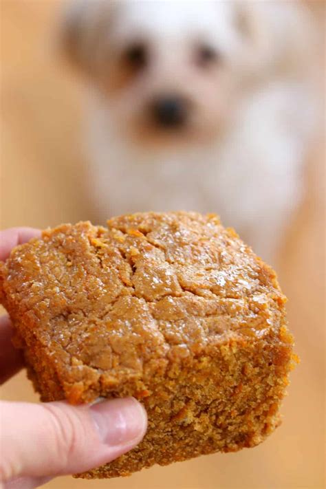 It would be cruel to get a human cake for fido's birthday party and either not let them partake or let them indulge and then suffer the you can just add water using the doggy ice cream from smart scoops, or try making your own with this easy recipe. Dog Cake Recipe - The Cozy Cook