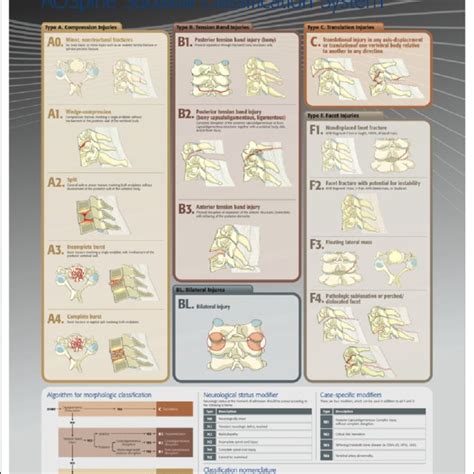 Aospine Subaxial Cervical Spine Injury Classification System From