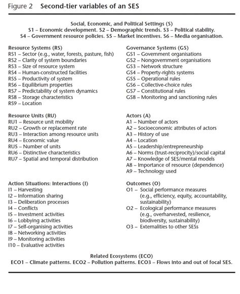 017 Essay Example Self Reflection Sample Cfp Final2