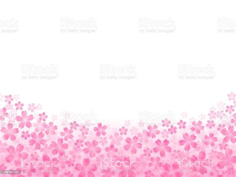 Illustration Of Cherry Blossoms Spreading Out At The Bottom Of The