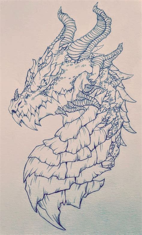 Pin De Lucas Izi Em Sketch O Esboço Do Dragão Desenho De Dragão Dragões