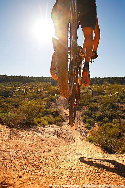 Maybe you would like to learn more about one of these? Summers mountain biking will provide a thrilling workout ...