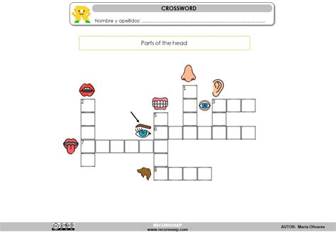 Crucigrama Con Vocabulario De Partes Del Cuerpo En Inglés