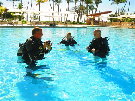 Padi Scuba Diving Certification Course Punta Cana Dominican Republic