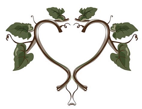 Royalty Free Branch Of Green Vine Leaves In Heart Shape Clip Art