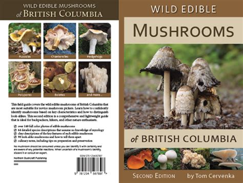 Edible Mushroom Guide All Mushroom Info
