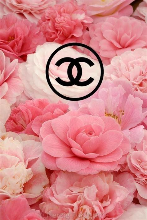 Pin By Nicolle On Chanel Pink Wallpaper Iphone Chanel