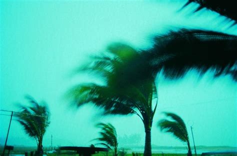 Miami Loves Sex During Hurricanes According To Trojan Study Huffpost