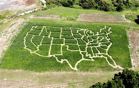 We did not find results for: Corn maze shaped like U.S. states is gaining lots of ...