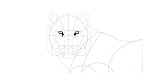Come Disegnare Una Tigre Design E Illustrazione Sviluppo Di Siti