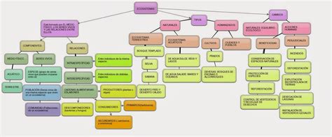 Mapas Conceptuales Sobre Los Ecosistemas Kulturaupice