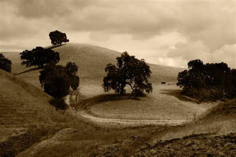 Free Images Landscape Tree Nature Grass Outdoor Rock Mountain