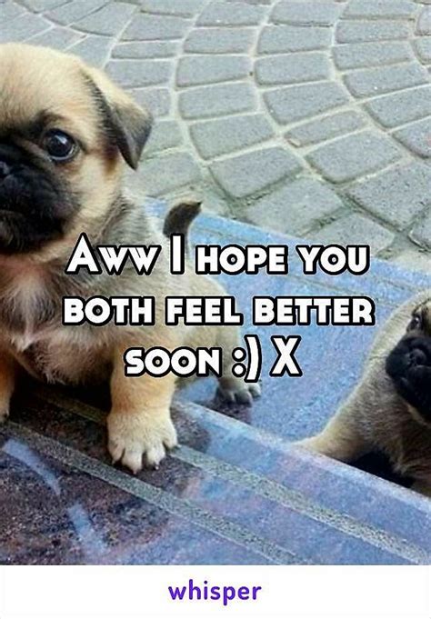 Pin By Deb Miller On Get Well Feel Better Dogs Aww