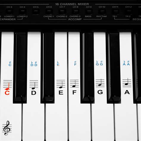 Klavier spielen (auf einem klavier oder flügel spielen). Klavier Keyboard Noten Aufkleber Deutsches Layout 49 61 76 ...