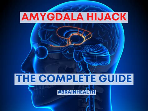 Amygdala Hijack What It Is And How To Stop It