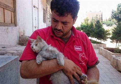 Cat Man Of Aleppo Cares For Hundreds Of Abandoned Felines In The War