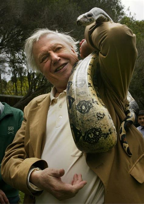 Jane elizabeth ebsworth oriel was the wife of sir david attenborough, one of the most influential and highly acclaimed naturalists, pacifist and broadcaster. David Attenborough wife: Our Planet host's BIGGEST REGRET ...