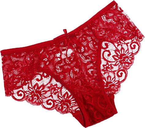 Womens Lace Floral Panties Underwear Sexy Mesh Low Rise Soft Breathable Stretch