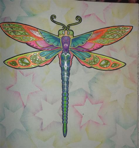 Dragonfly Enchanted Forest Libelulas