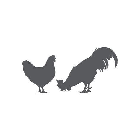 Rooster Icon And Hen Icon Vector Illustration Flat Vector Farm Animal