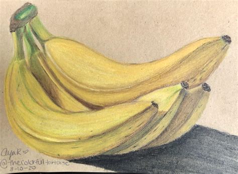 Realistic Banana Drawing In Prismacolors Coloring