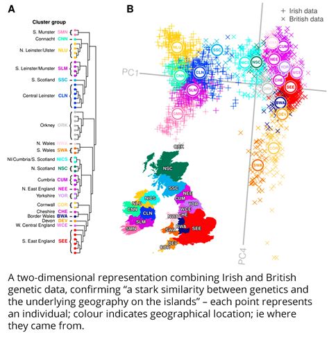 Scientists Reveal New Genetic Map Of Ireland And Britain ‘in High