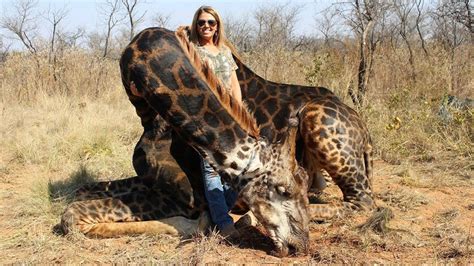 Hunter Whose Giraffe Photo Went Viral Says Shes Absolutely Still Hunting I Am Proud Of That