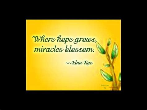 Where Loves Grows Hope Quotes Words Of Encouragement Miracles