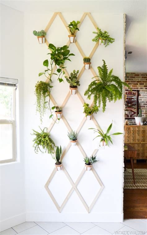 How To Display Plants Indoor 42 Diy Projects Craftionary