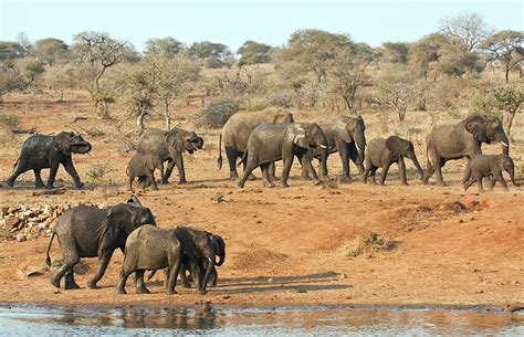 South Africa Safari 3 Day Kruger National Park Open