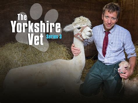 Prime Video The Yorkshire Vet Series 3