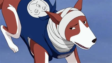 Ūhei Cartoon Dog Naruto Kakashi