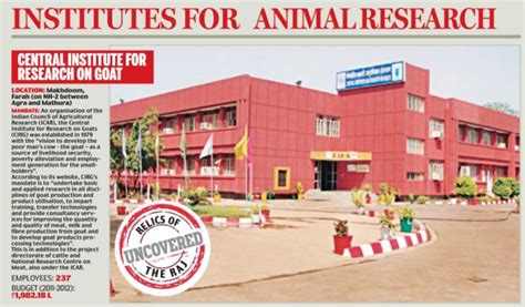 There are around 400 camels at the national research centre on camel. Government spends huge funds to run centres for research ...