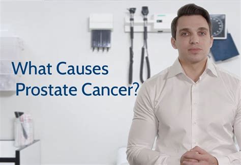 What Causes Prostate Cancer Prostate Cancer Foundation